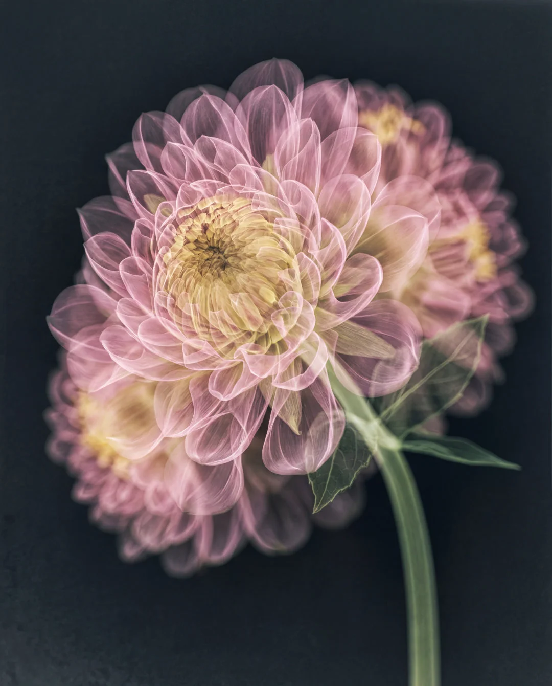 Radiance